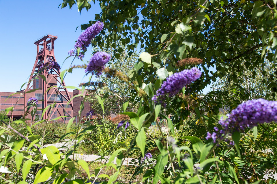 Foto: J.Tack, Stiftung Zollverein